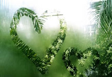 乐鱼体育-关于索伯车队绝杀法拉利，诺里斯带队取胜的信息